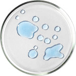 アミノ酸 - NMFスキンケア