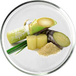 グリコール酸スキンケア