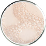 乳酸スキンケア